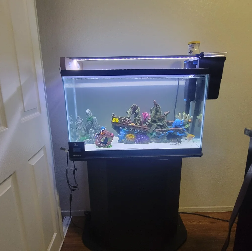 tank fish freshwater includes tank stand 30lx12d, 20h 30g filter tidsl 75, orbit